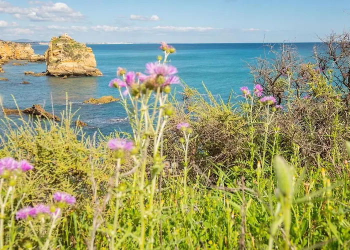 - Sleep 5 - Pool - Free Wi-fi - Air Con * Албуфейра